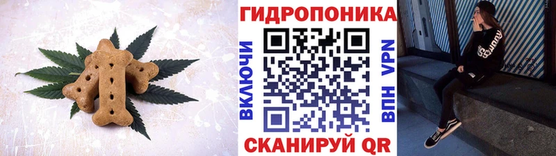 блэк спрут ONION  Урус-Мартан  Еда ТГК марихуана 