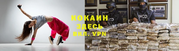 крисы Мегион