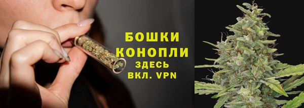 крисы Мегион