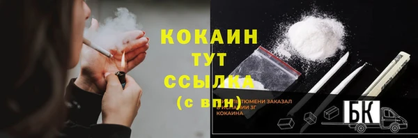 крисы Мегион