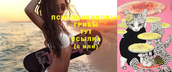 винт Михайлов