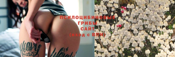 apvp Михайловск