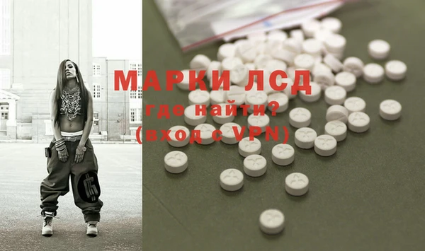 крисы Мегион