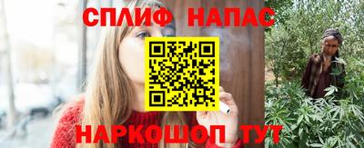 mdpv Заводоуковск