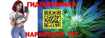 mdpv Заводоуковск