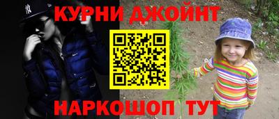 mdpv Заводоуковск