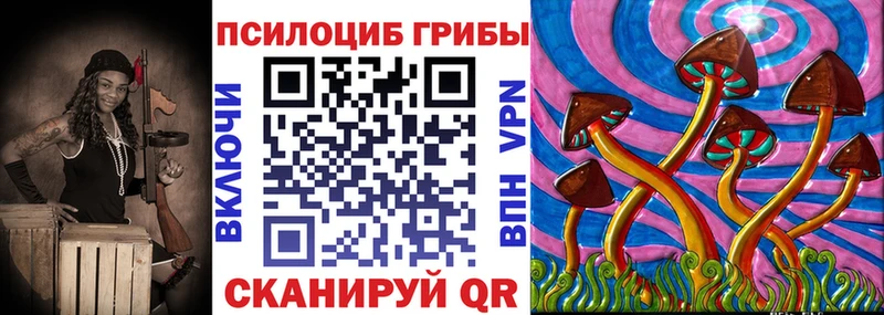 Галлюциногенные грибы Psilocybe  мега ссылка  Урус-Мартан 