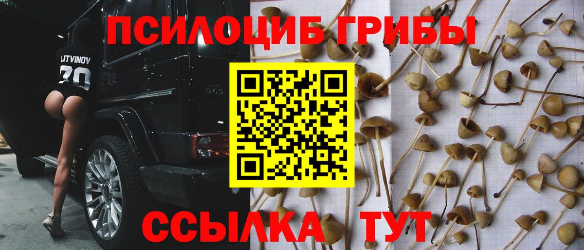Псилоцибиновые грибы Psilocybine cubensis  Вход с VPN  дарнет шоп  Урус-Мартан 