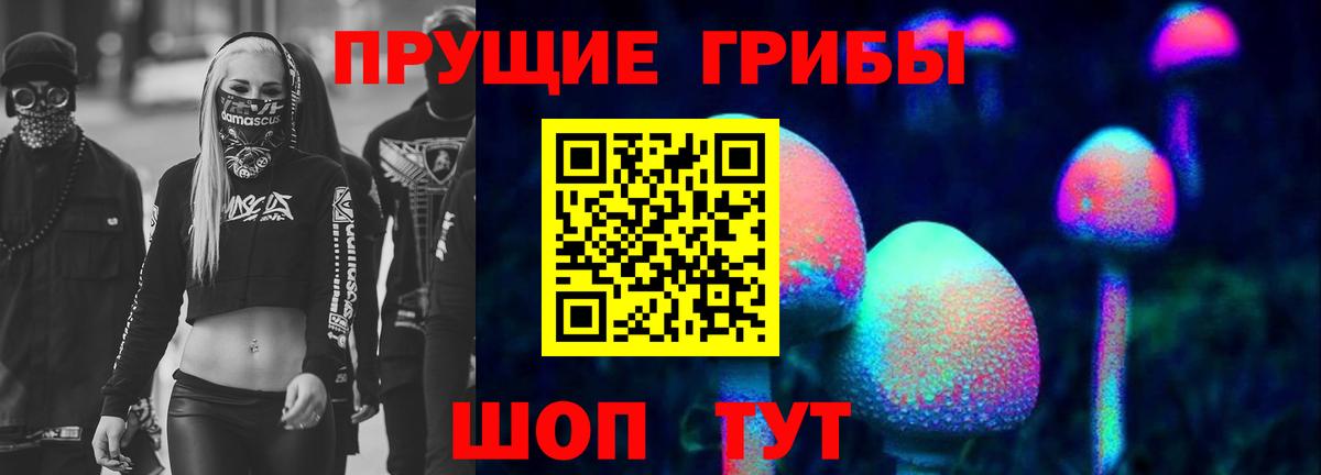 Псилоцибиновые грибы Psilocybine cubensis  Псилоцибиновые грибы Psilocybine cubensis  Урус-Мартан 