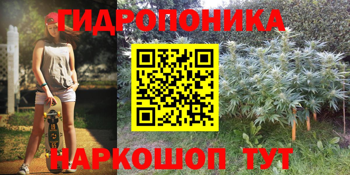 Бошки марихуана сатива  Урус-Мартан  Каннабис план  Бошки марихуана ГИДРОПОН 